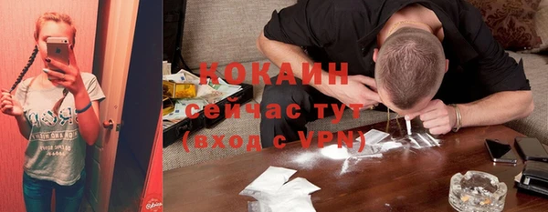 прущая мука Бородино
